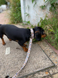 Leopard Print Dog Collar & Lead