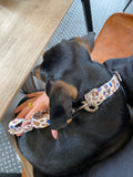 Leopard Print Dog Collar & Lead