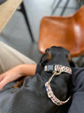 Leopard Print Dog Collar & Lead