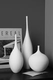 Minimalist Narrow Neck Vase